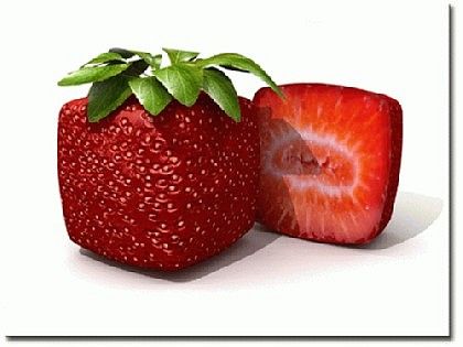 Erdbeeren - 