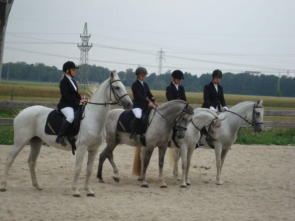 Dressurquadrille am Reiterfest - 