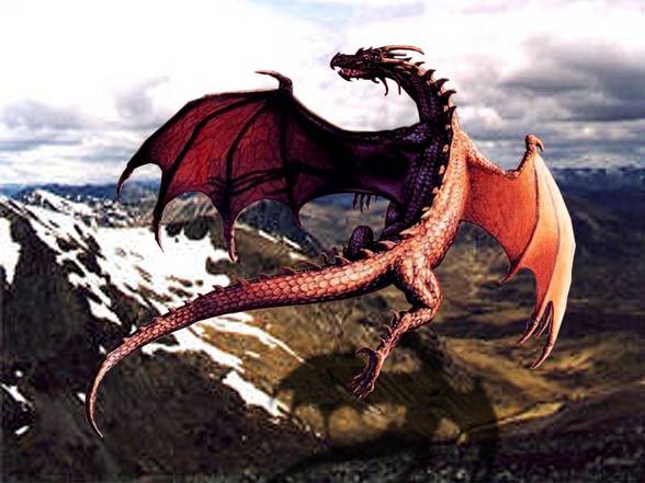 drachen - 