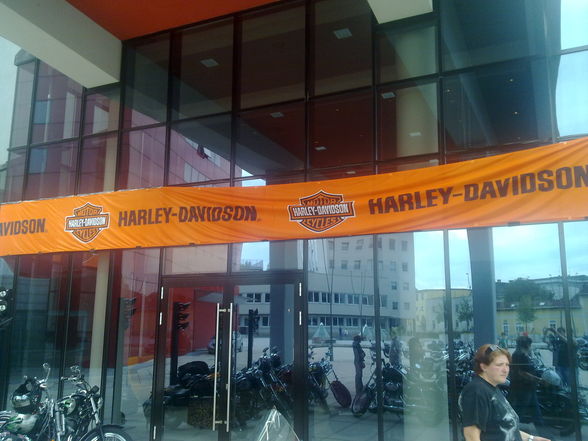 Harley Davidson treffen ! - 