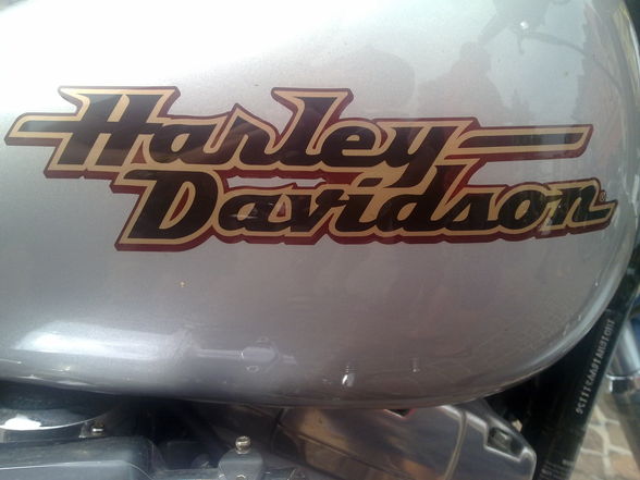 Harley Davidson treffen ! - 