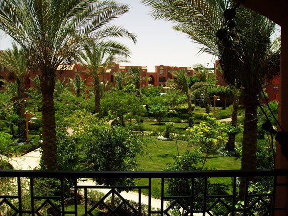 Sharm El Shelkh 2007 - 