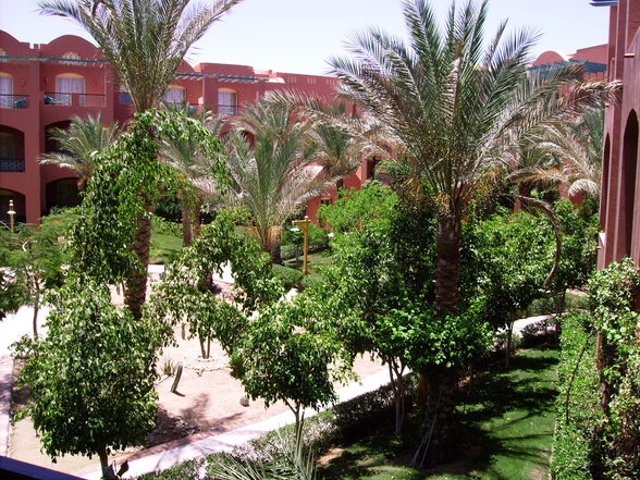 Sharm El Shelkh 2007 - 