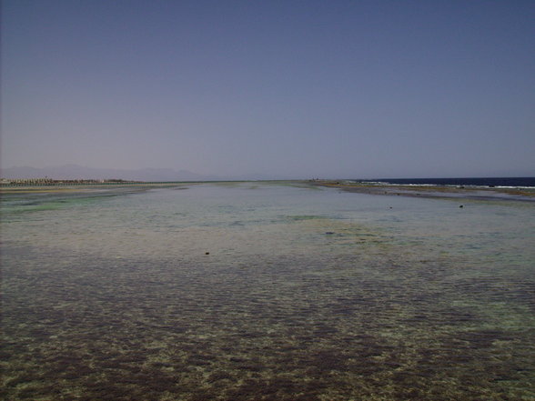 Sharm El Shelkh 2007 - 