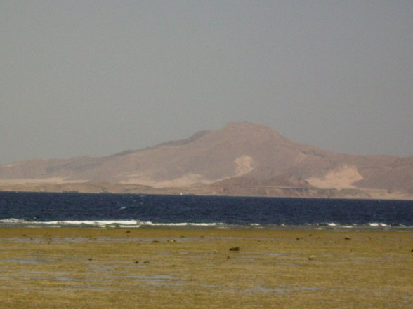 Sharm El Shelkh 2007 - 