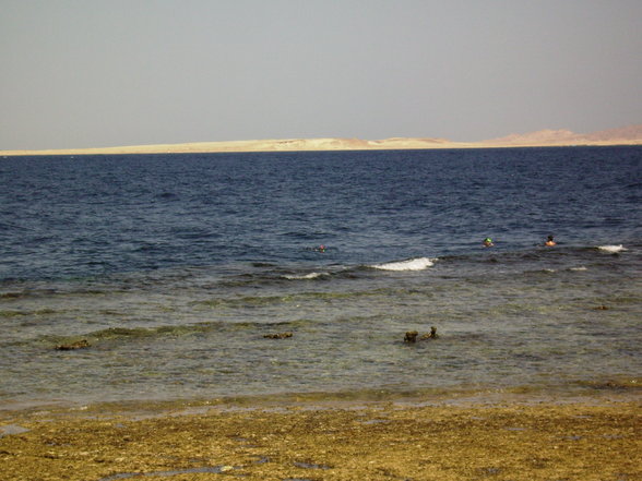 Sharm El Shelkh 2007 - 