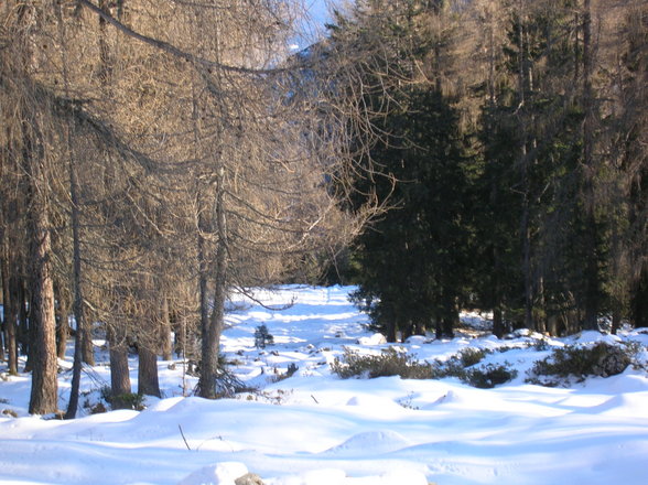 Dümlerhütte - Rote Wand 28.12 - 