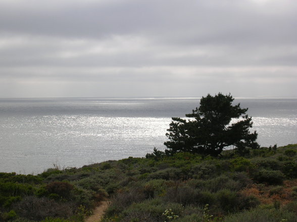 Big Sur/ Highway 1, California - 