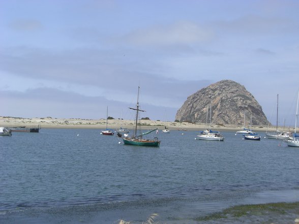 west coast / pacific coast - 