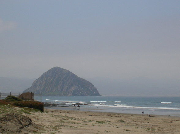west coast / pacific coast - 