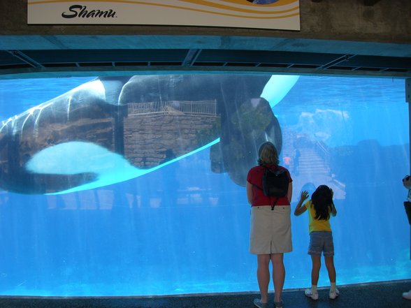 Sea World - San Diego - 