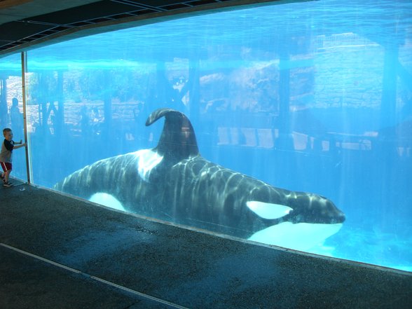 Sea World - San Diego - 