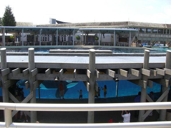 Sea World - San Diego - 