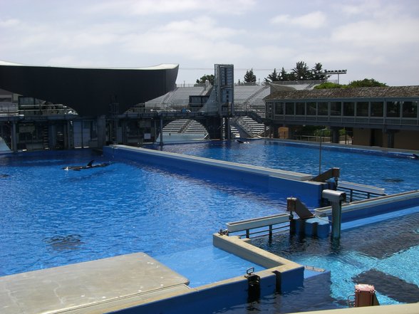 Sea World - San Diego - 