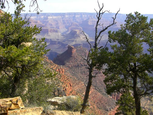 Grand Canyon, Arizona - 