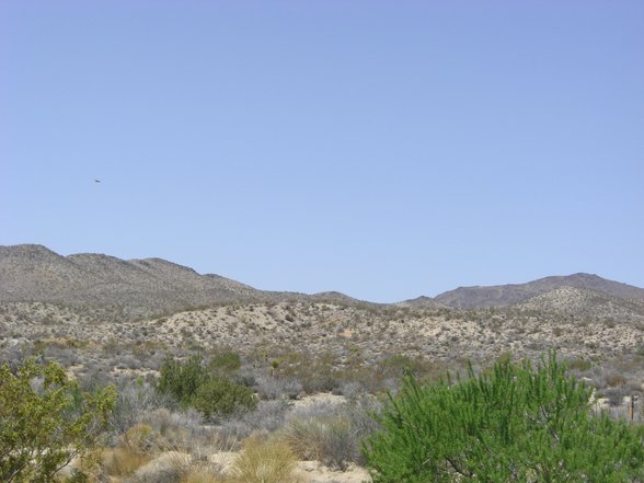 Joshua Tree National Park, California - 