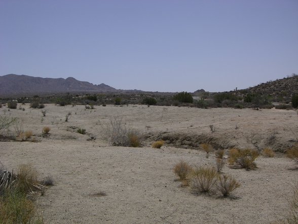 Joshua Tree National Park, California - 