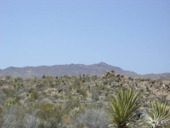 Joshua Tree National Park, California - 