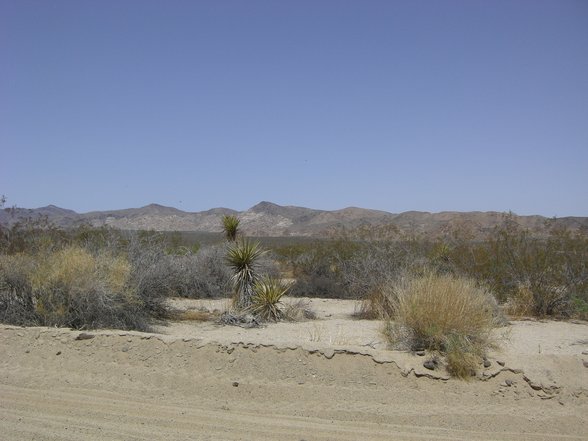 Joshua Tree National Park, California - 