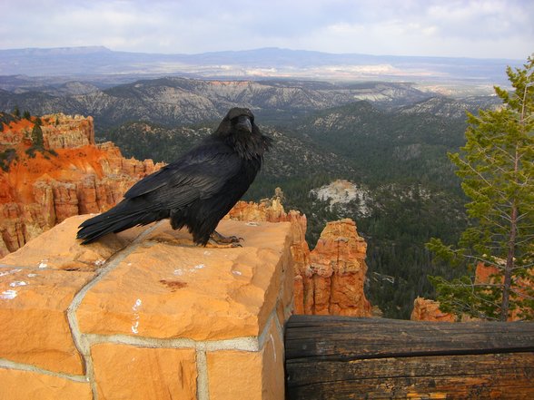 Bryce Canyon, Utah - 