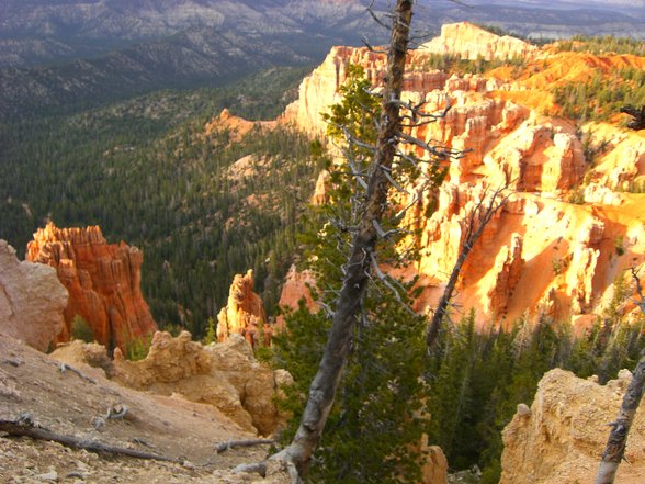 Bryce Canyon, Utah - 