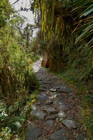 Peru 2008 - 