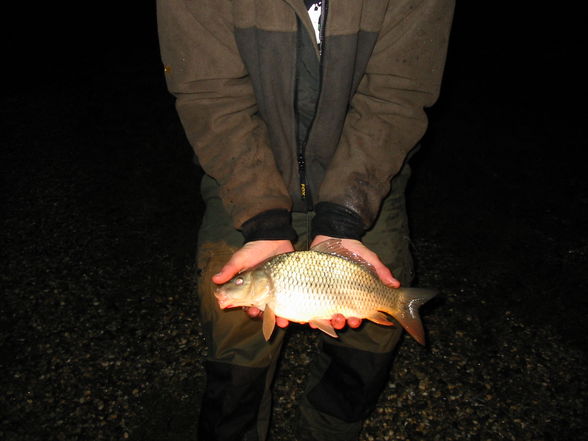 fischen brandstätter see - 