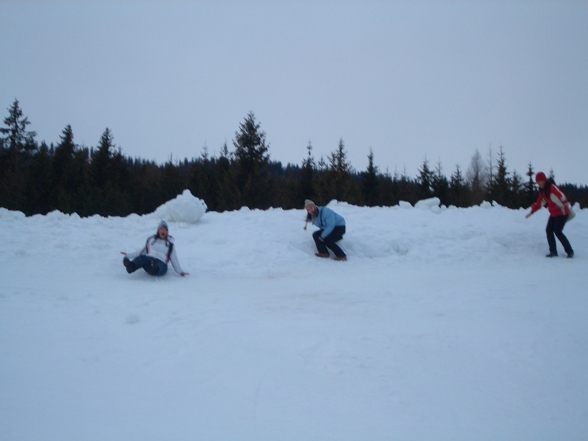 ASKÖ Skitag 19.01.08 - 