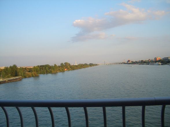 Donauinsel 2008 - 