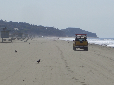 ... am Strand von Malibu   17.09.2007 - 