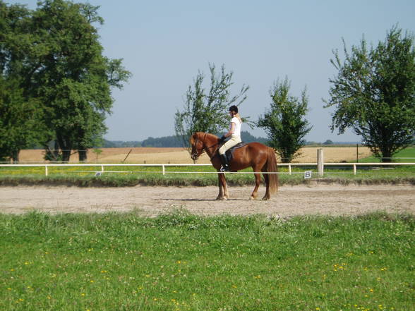 Meine anderen Scknuckies - 