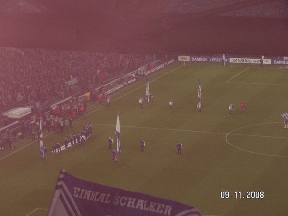 Auf_Schalke 09.11.08 - 