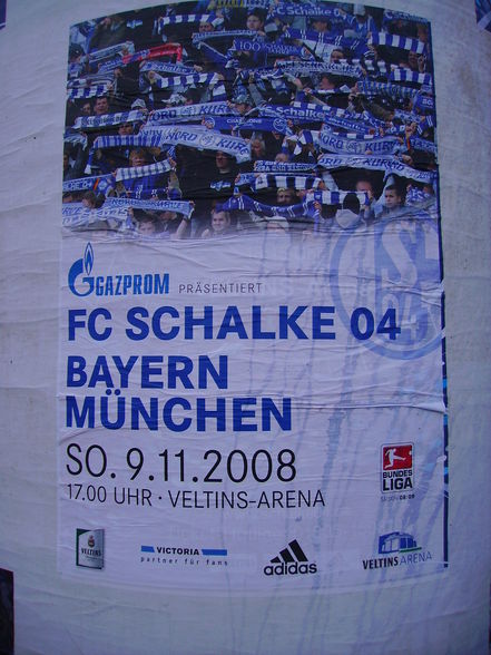 Auf_Schalke 09.11.08 - 