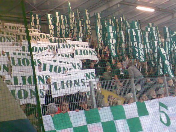 SK Rapid Wien - 