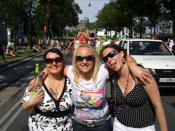 Regenbogenparade 08 - 