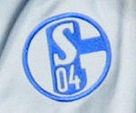 FCSchalke04 - 