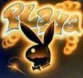 Playboy-bunnys and co - 