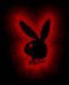 Playboy-bunnys and co - 