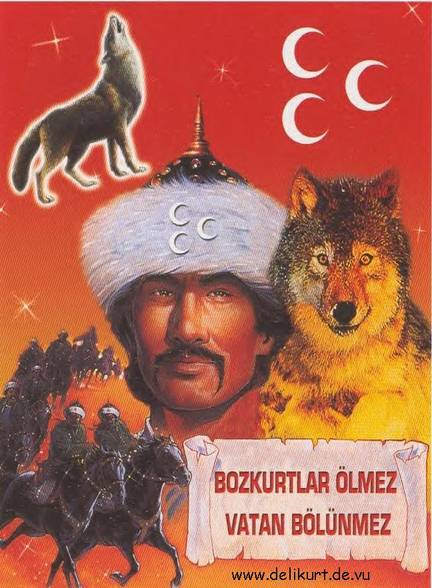 Bozkurt - 