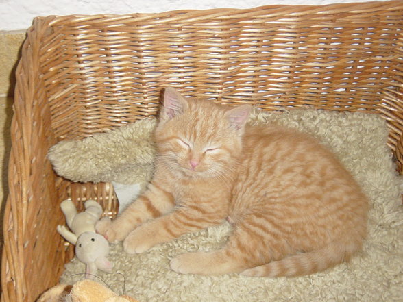 in memory....Charly - 