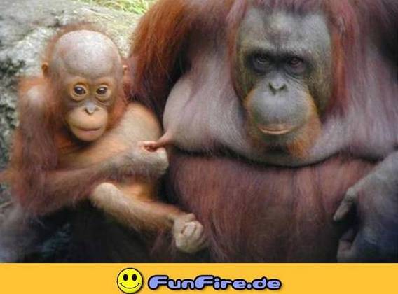 lachen - 