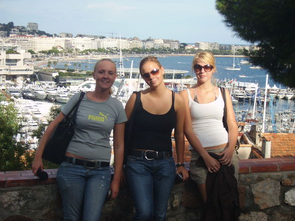 Cannes 2008 - 