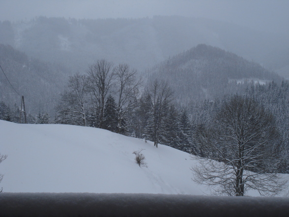 schnee,schnee und noch mehr schnee!!! - 