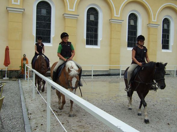 Reitanfänge...und was danach war..xD - 