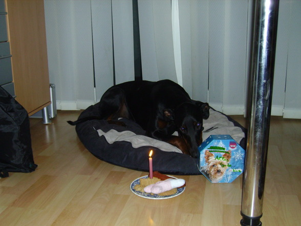 Kira´s erster Geburtstag - 