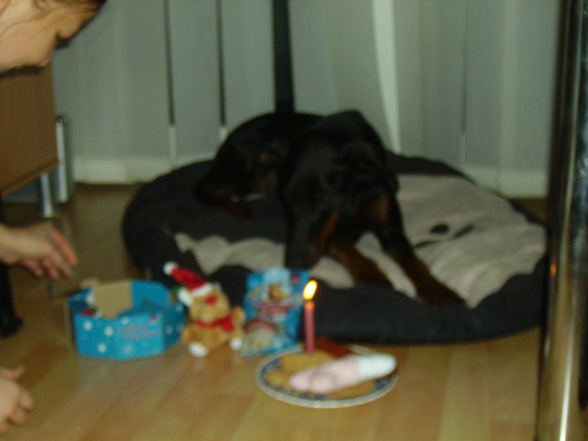 Kira´s erster Geburtstag - 