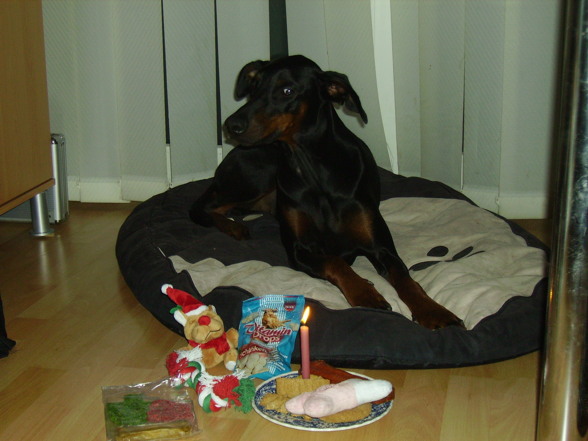 Kira´s erster Geburtstag - 