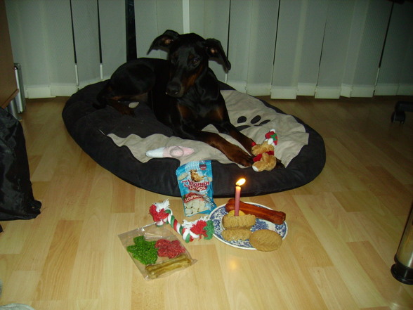 Kira´s erster Geburtstag - 