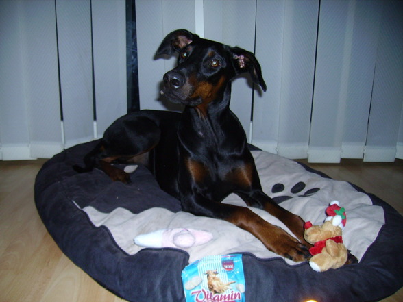 Kira´s erster Geburtstag - 