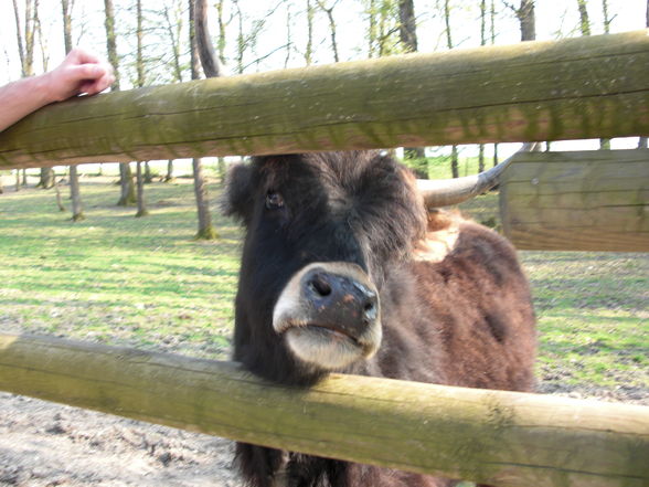 Tierpark Haag - 